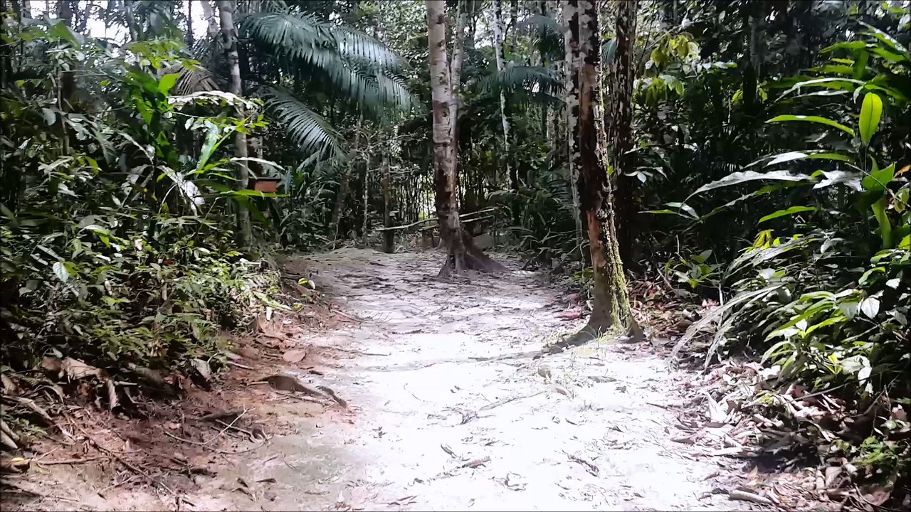 visite Palmari 1ère partie
