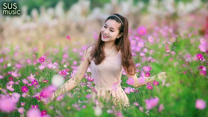The Wordless music - Melody Music Lives