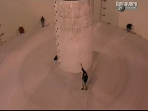 Les cables optiques sous marins