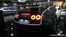 $3.5 Million Bugatti Veyron 16.4 Mansory Vivere - Start up   Driving Sound!