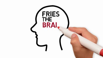 How illegal drugs affect the brain