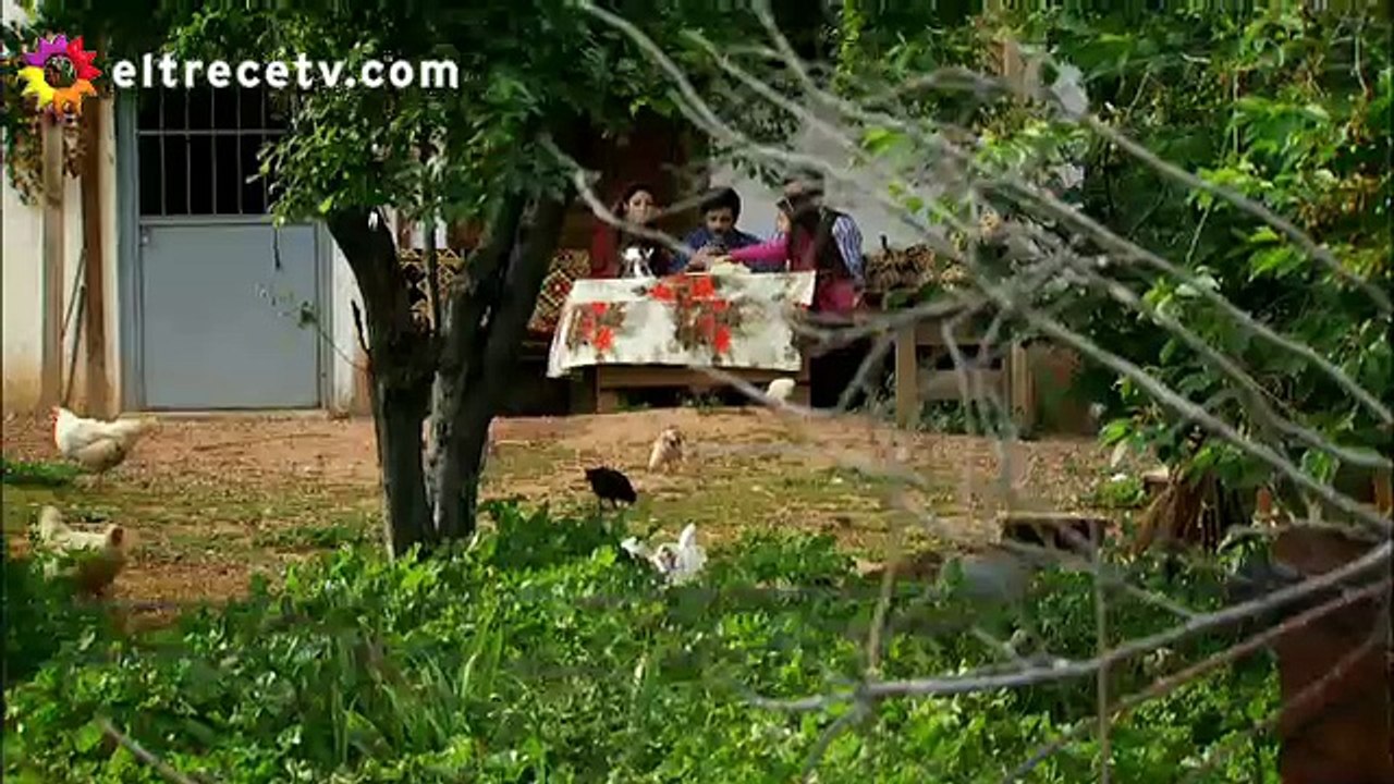Capitulo 88 Esposa Joven