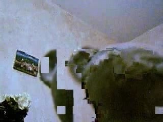 Tiki chante Koxie Garçons