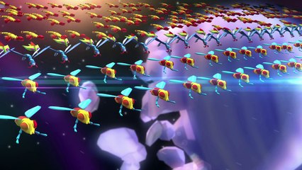 GALAGA WARS - Trailer di lancio