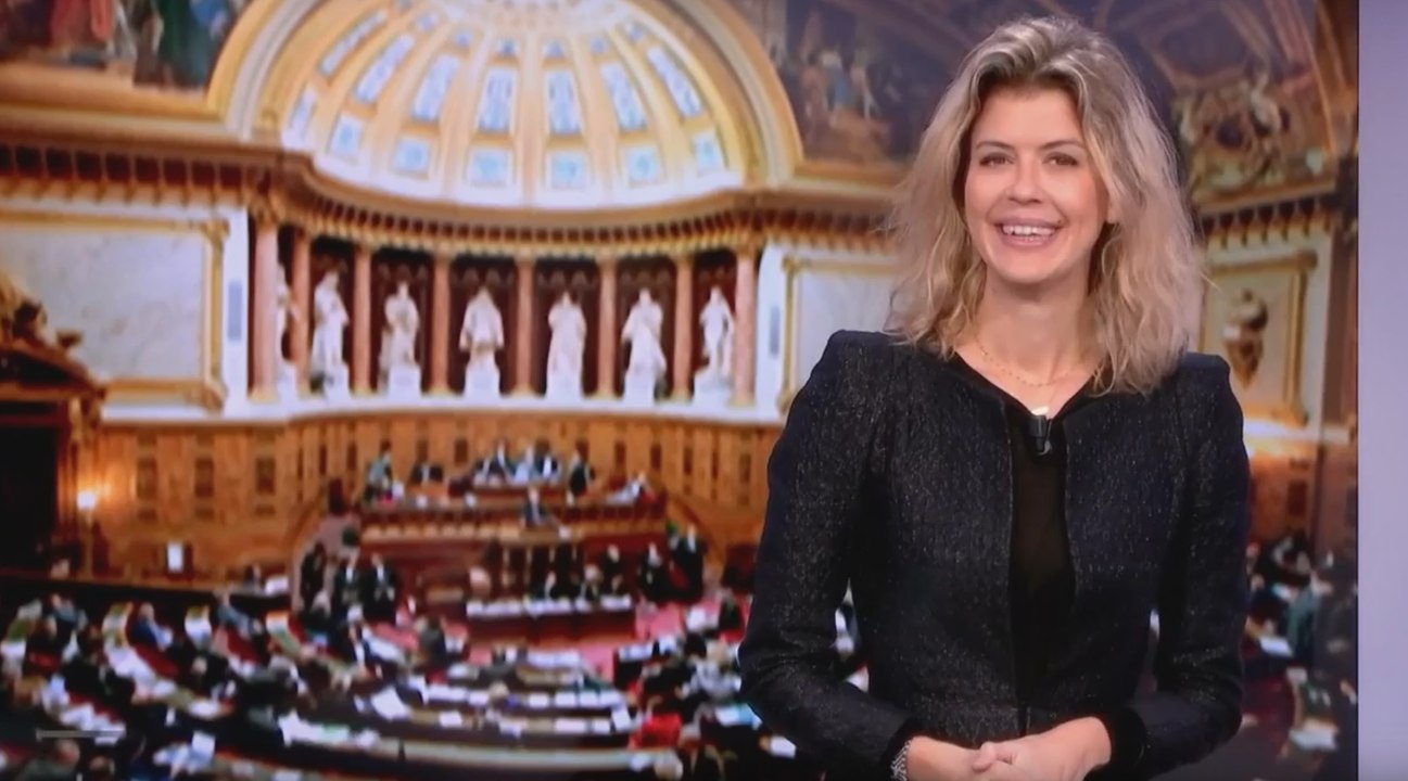 Examen du projet de loi Sapin 2 - Les matins du Sénat (07/11/2016)