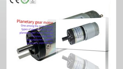 Planetary gear motor