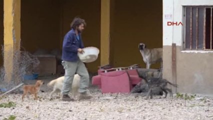 Babaeski-Barınaktaki Köpeklere Ateş Etti