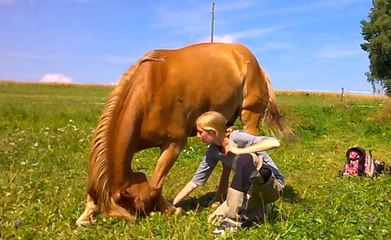 [horsegirlship 30 ] Holidays with the monkeys 2016 - Part 3 (The daily morning & midday procedure)