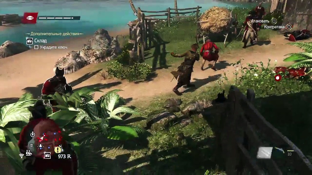 Assassins creed 4 blak flag (14)