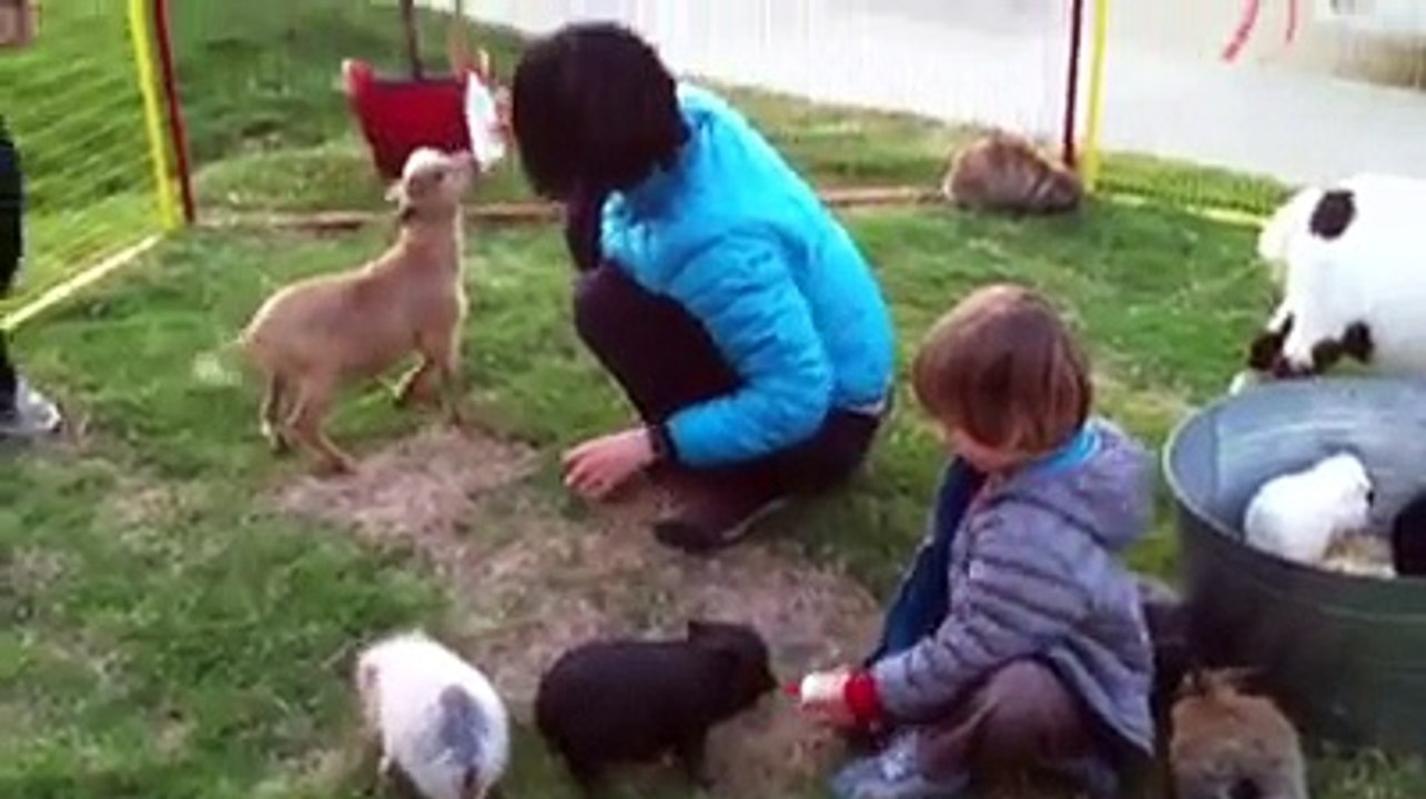 Montessori Preschool dallas | Montessori Preschools Frisco | Montessori Pre K Frisco | Toddler Daycare Carrollton