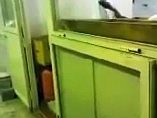 Saudi Baker Caught on Cam Spitting on Dough