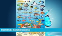 READ PDF Barbados Reef Creatures Guide Franko Maps Laminated Fish Card 4