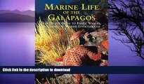 READ  Marine Life of the Galapagos: Divers  Guide to the Fish, Whales, Dolphins and Marine