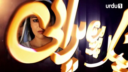 Dil Apna Preet Parai Episode 87 Urdu1
