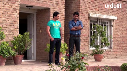 Dil Apna Preet Parai Episode 74 Urdu1
