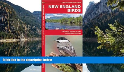 Best Deals Ebook  New England Birds: A Folding Pocket Guide to Familiar Species (Pocket Naturalist