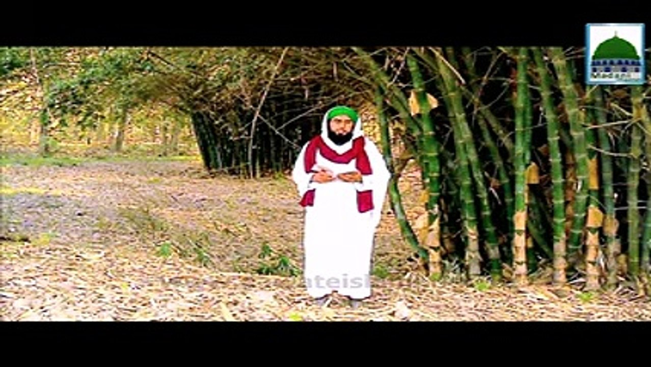 Batini Bimariyon Ki Malomat - Talab e Shuhrat