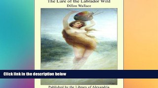 Ebook deals  The Lure of the Labrador Wild  Full Ebook