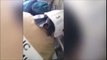 Sauvetage d'un chat la tête coincée dans les toilettes turcs en Russie