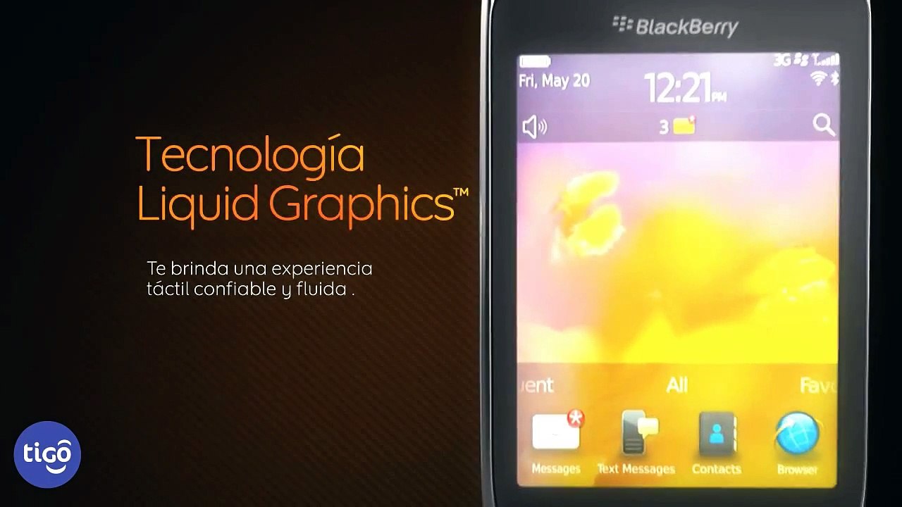 BlackBerry Torch 9810