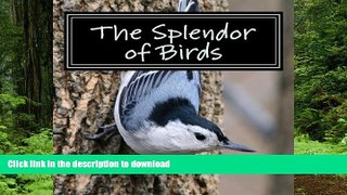 Best books  The Splendor of Birds: A Picture Book for Seniors, Adults with Alzheimer s and Others