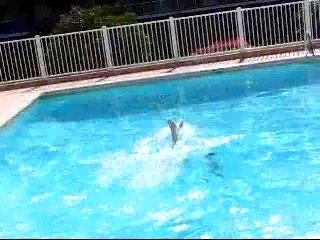 video piscine st raphael 2007