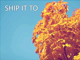 Ship it to - Package Forwarding