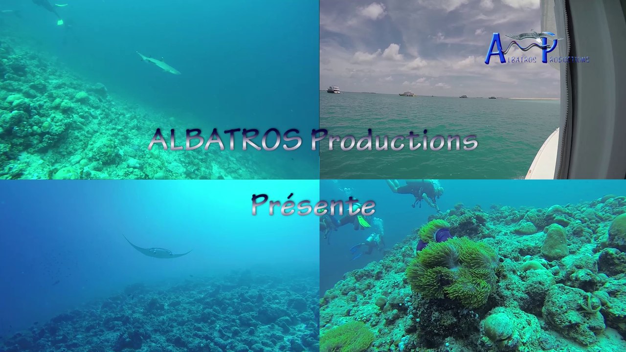 Croisière Maldives - 2016 - Jour 1-5