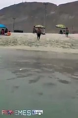 هههههههه مش طبيعي