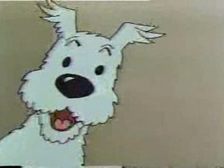 Saviez-vous que Tintin et Milou......