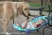 A dog won't stop giving his ball to a sleeping baby