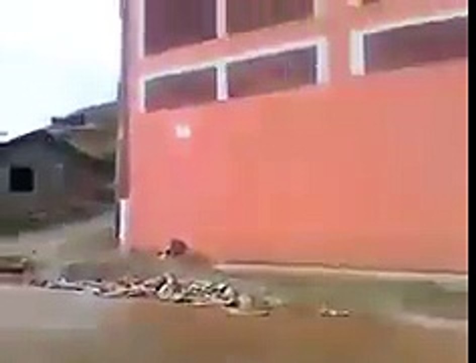 niño trolleado