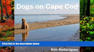 READ NOW  Dogs On Cape Cod  Premium Ebooks Online Ebooks