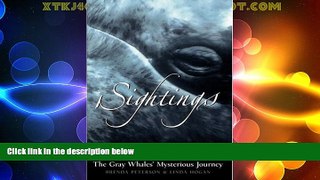 Big Deals  Sightings: The Gray Whales  Mysterious Journey (Adventure Press)  Best Seller Books