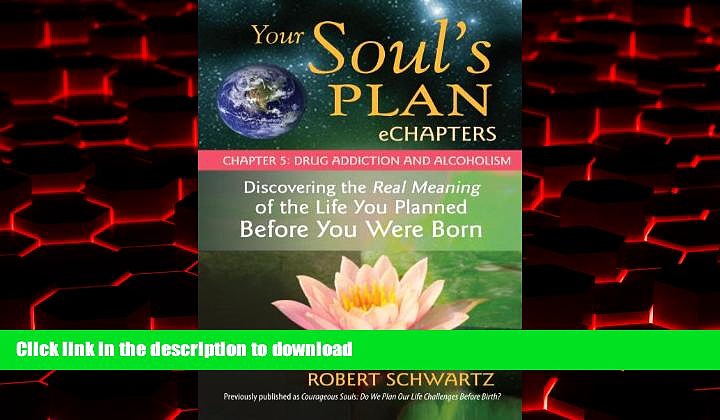 Best book  Your Soul s Plan eChapters – Chapter 5: Drug Addiction and Alcoholism: Discovering the