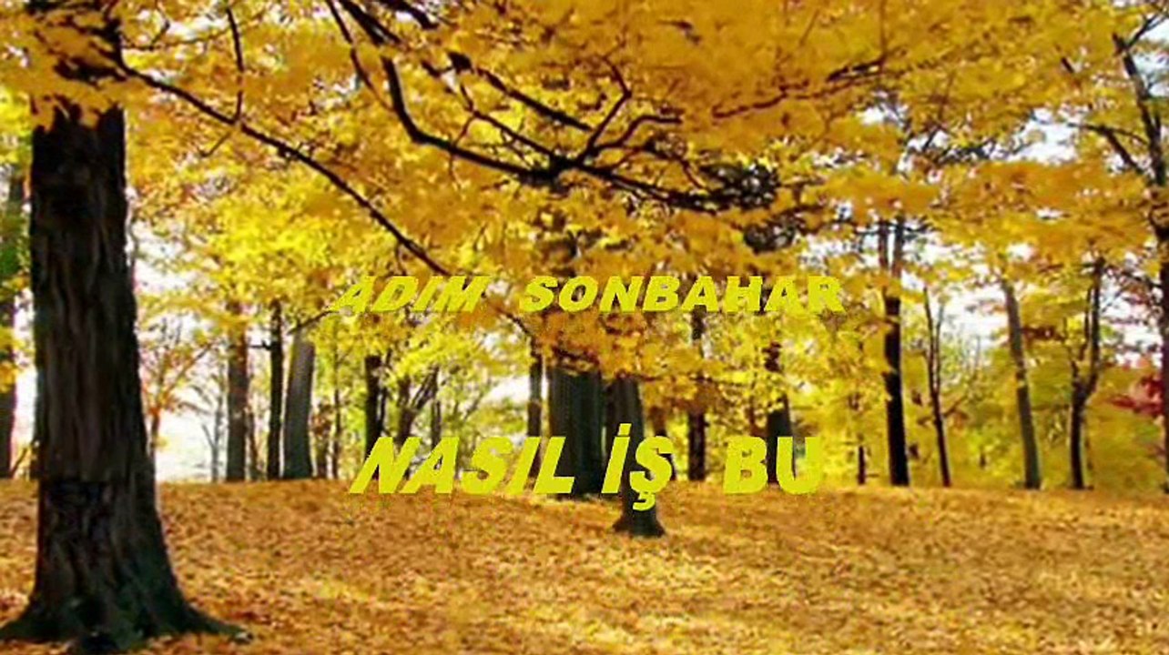 ADIM SONBAHAR  ATİLLA İLHAN Klip  Aynur  AVCI