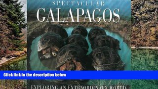 READ NOW  Spectacular Galapagos  Premium Ebooks Online Ebooks