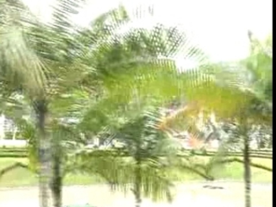 Garden in chiagmai4