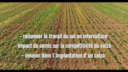 Plateforme implantation colza novembre 2016