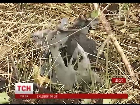 «Мы уже отвыкли от этого»: российские войска обстреляли жилсектор Красногоровки из «Градов» и минометов.