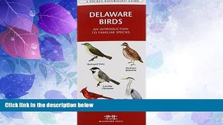 Big Deals  Delaware Birds: A Folding Pocket Guide to Familiar Species (Pocket Naturalist Guide