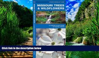 Big Deals  Missouri Trees   Wildflowers: A Folding Pocket Guide to Familiar Species (Pocket