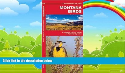 Books to Read  Montana Birds: A Folding Pocket Guide to Familiar Species (Pocket Naturalist Guide