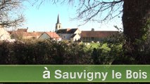 Les motivations -Douze communes de Bourgogne Franche-Comté en route vers le zéro phyto