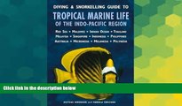 Must Have  Diving   Snorkelling Guide to Tropical Marine Life of the Indo-Pacific Region  Premium