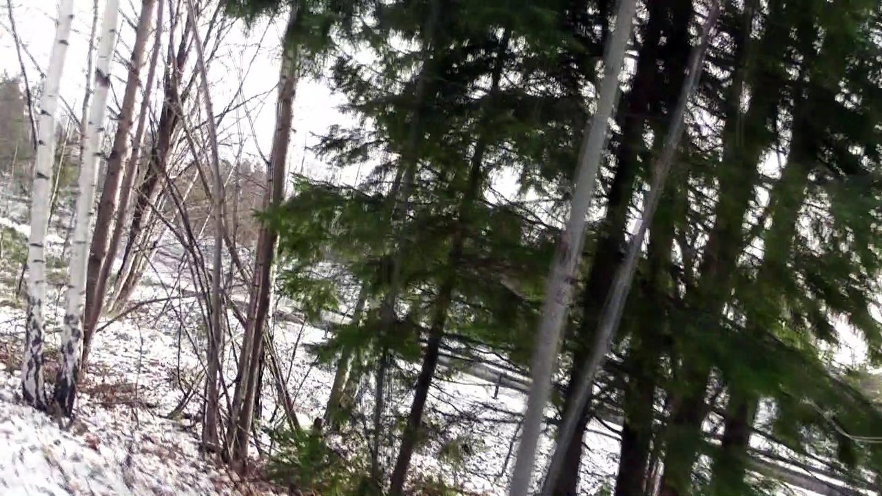 Nov 7 2016 1