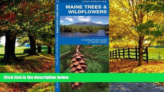 Big Deals  Maine Trees   Wildflowers: A Folding Pocket Guide to Familiar Species (Pocket