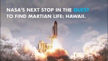 NASA is going to Hawaii to train for martian hunting