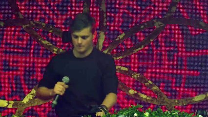 Tomorrowland Belgium 2016 - Martin Garrix_5