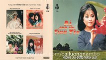 CD ca nhạc Ai Cho Tôi Tình Yêu - Hương Lan, Dũng Thanh Lâm